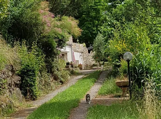 Mandala Апартаменты