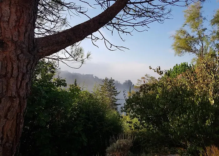 Mandala Апартаменты